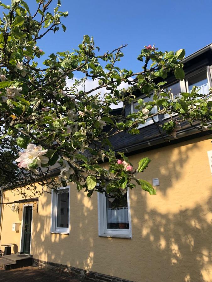 Am Apfelbaum, Ein Ferienhaus Zwischen Rhein Und Mosel Kastellaun Exterior photo